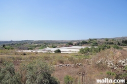 Fields and greenhouses near Bidnija and Mosta Dome in the background
