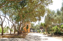 The Train Station's Park in Birkirkara