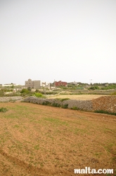 Fields and cultures around Dingli