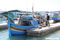 Fishermen coming back to the harbour in Marsaxlokk