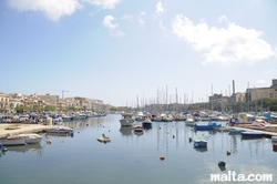 Boats and building surrounding the Msida Marina