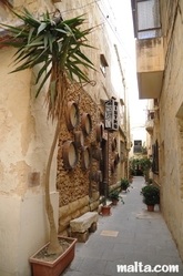 Rabat's narrow street