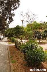 St Dominic Garden of Rabat