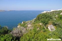 Nature coast in St paul