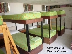 lingo guesthouse bugibba dormitory