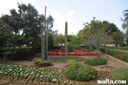 Cactus garden inside the Argotti Botanical park in Floriana