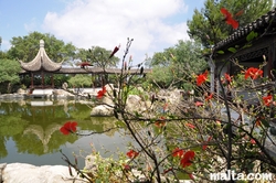 Flowers and the lake of the Garden of Serenity in Santa Lucija