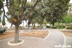 Path and Bench in the Howard Gardens In Rabat