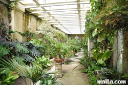 greenhouse corridor of the palazzo parisio garden