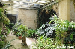 inside the greenhouse of the palazzo parisio garden