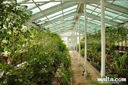 Greenhouse of the Sa Maison Garden