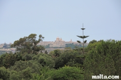 view of Mdina from Ta´Qali National Park