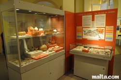 potteries at the National Museum of Archaeology