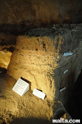 Geological explanation in the Ghar Dalam Cave in Birzebbuga