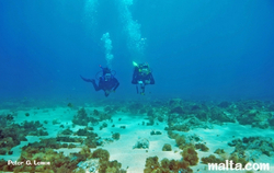 Underwater view of  Anchor bay