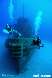 Divers exploring Rozi
