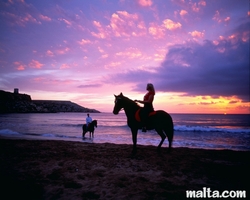 horse riding in golden Bay