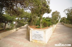 Alley in Dingli's gardens Alley in Dingli's gardens