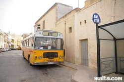 Bus 810 in Dingli