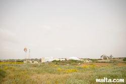Fields around Dingli Fields around Dingli