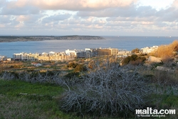 Mellieha bay Hotels