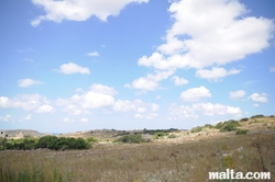 Fields around Mgarr