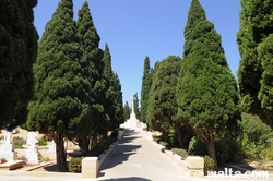 The Commonwealth war graves in Pembroke