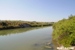 Saline water in qawra