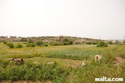 Countryside view from Rabat