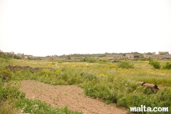 Fields and cultures near rabat