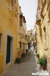 Street and plants in Rabat