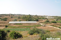 Fields and greenhouses around St Gwann