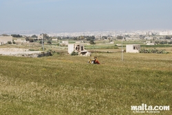 Fields in Siggiewi