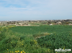 Fields near Siggiewi