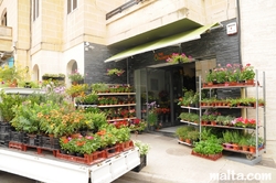 Flower shop near the Swieqi's Parish Church