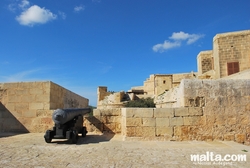 Cannon in the fortress of Victoria