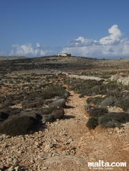 Small trekking path in Comino