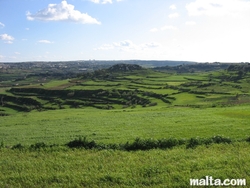 Geography - fields of Malta