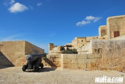 Cannon in the fortress of Victoria