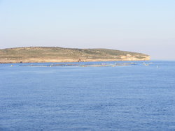 Fish farm near Comino Fish farm near Comino