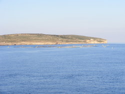 Fish farm near Comino