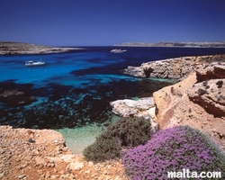 The blue lagoon of comino