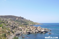 coast on the left of dahlet qorrot bay coast on the left of dahlet qorrot bay