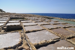 Attractions - Countryside Walks Saltpans