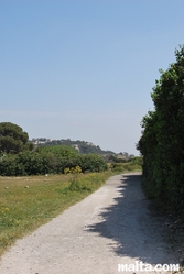 Track in Busket Garden