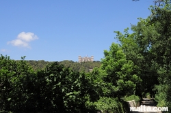 view of the Verdala Palace from the Buskett Gardens