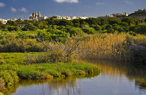 Ghadira Nature Reserve - Malta
