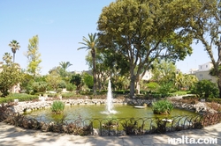 fountain and pond of the palazzo parisio garden