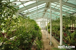 Greenhouse of the Sa Maison Garden Greenhouse of the Sa Maison Garden