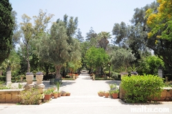 crossing paths at the St. Anton Gardens Attard